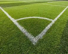 尼克斯对战,猛龙,历史交锋一,大发彩票,大发彩票官网,dafa大发彩票官网,大发彩票官网玩家首选