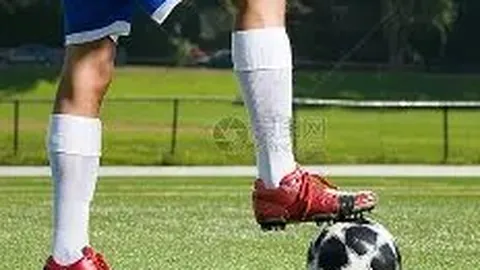 大发彩票 产品 012943 a97