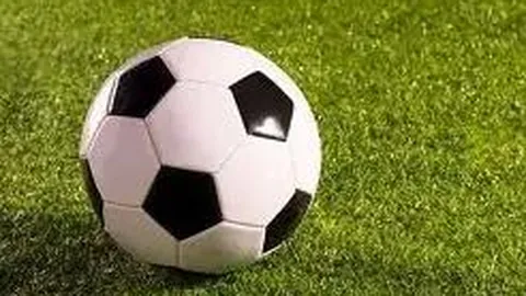 大发彩票 产品 012920 65h