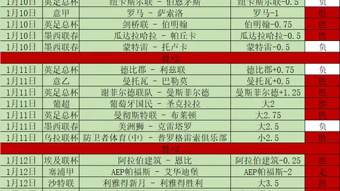 梅里诺玩笑称：渴望新总监提供高薪前锋合同